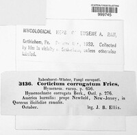 Image Associated With the Occurence
